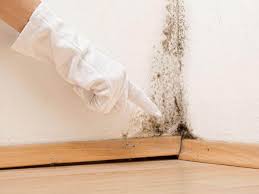 Best Emergency Mold Remediation  in Garner, NC